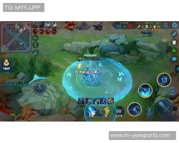s15赛季王者荣耀战术解析TOP10V5战队领跑全局策略揭秘